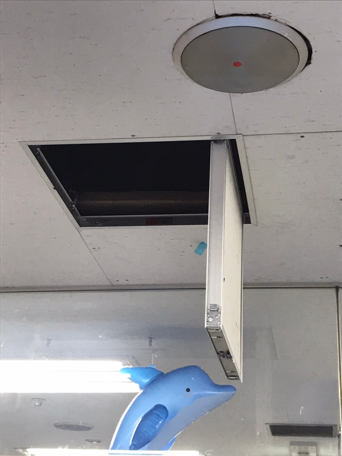 ダウンロード (3)